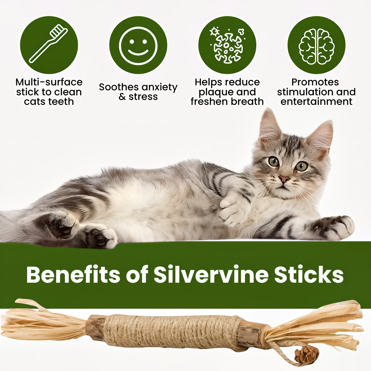 🔥Buy one get one free Natural Silvervine Dental Sticks 🔥