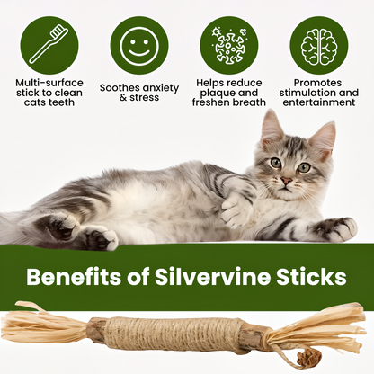 🔥Buy one get one free Natural Silvervine Dental Sticks 🔥