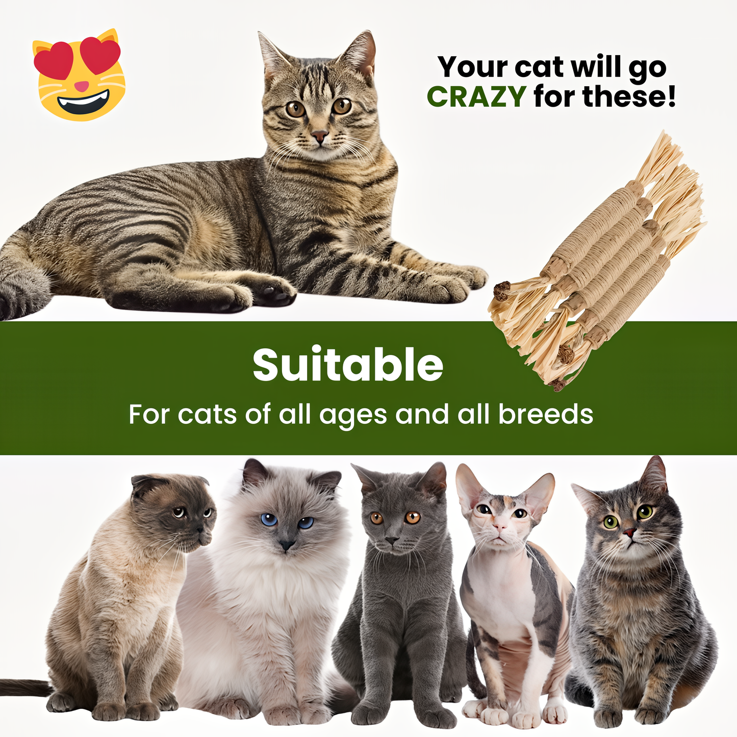 🔥Buy one get one free Natural Silvervine Dental Sticks 🔥